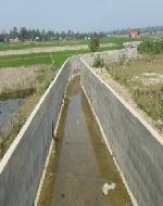 Lot-1 (UT+DR) 01 (Custom)